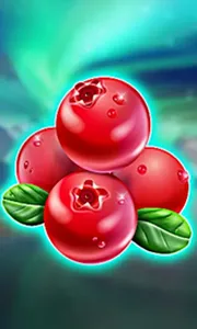 Winterberries